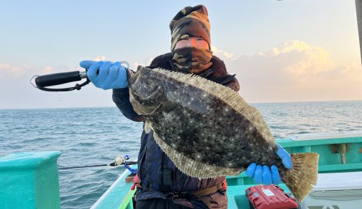 16日ヒラメ釣り