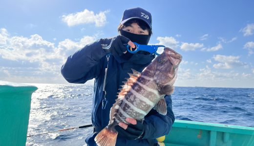 12日マハタ釣り