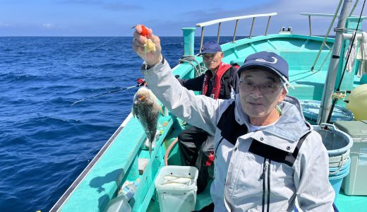 4日ショウサイフグ釣り