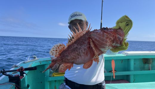 24日オニカサゴ