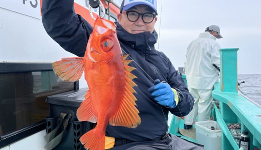 29日キントキ