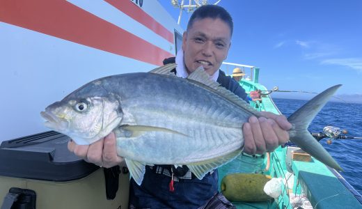 27日イサキシマアジ