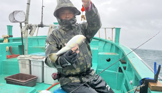 11日ショウサイフグ